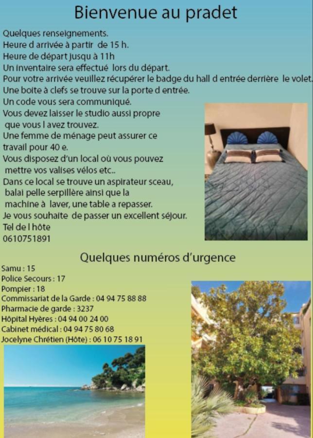 Les Roches Bleues Apartment Le Pradet Luaran gambar